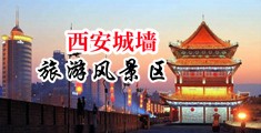 嗯～啊jb插的好快～视频中国陕西-西安城墙旅游风景区